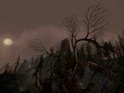 Imagen de El Se�or de los Anillos Online: El Asedio de Mirkwood para PC