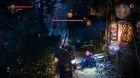 Im�genes The Witcher 2: Assassins of Kings