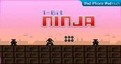 1-bit Ninja