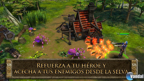 Imagen 20121126105740_4