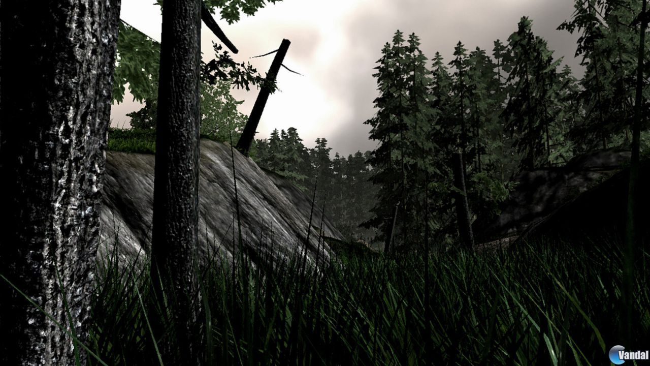 Imagen 201212510415_16