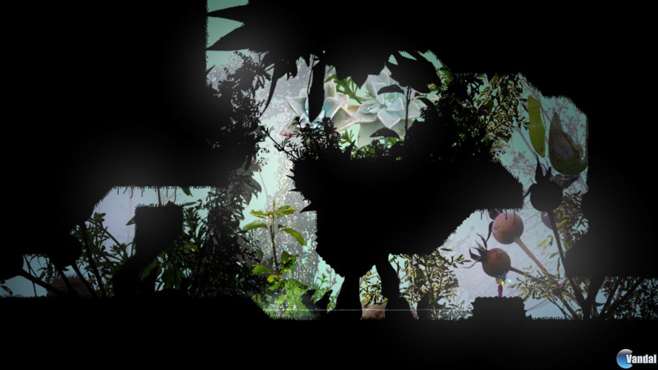 Imagen 20121212162754_5
