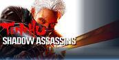 Tenchu Shadow Assassins