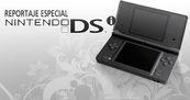 Dossier Nintendo DSi