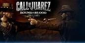 Call of Juarez: Bound in Blood