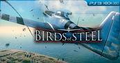 Birds of Steel