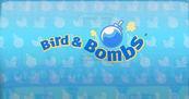 Birds & Bombs DSiW