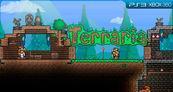 Terraria PSN
