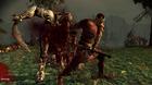 Imagen de Dragon Age: Origins para PC