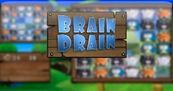 Brain Drain DSiW