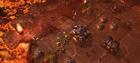 Nuevas im�genes de StarCraft II