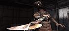 Im�genes Borderlands (PC)