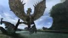 Nuevas imágenes e ilustraciones de Monster Hunter Tri