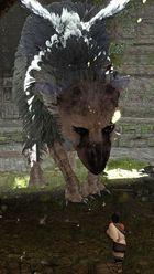 Imagen 81 de The Last Guardian para PlayStation 3