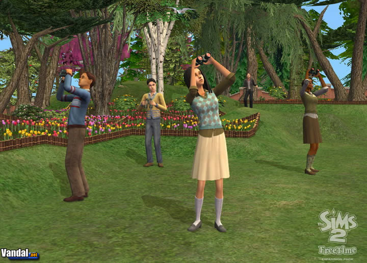 Imagen 7 de The Sims 2: Free Time para Ordenador