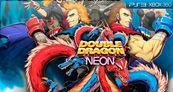 Double Dragon: Neon PSN