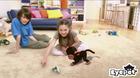 Im�genes EyePet (PS3)