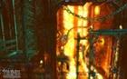 Im�genes Trine PSN (PS3)