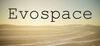 Evospace para Ordenador