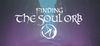 Finding the Soul Orb para Ordenador