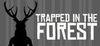 Trapped in the Forest para Ordenador