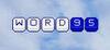 Word95 para Ordenador