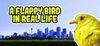 A Flappy Bird in Real Life para Ordenador