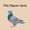 The Pigeon Quiz para PlayStation 5