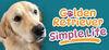 Golden Retriever Simple Life para Ordenador