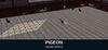 Pigeon Online World para PC