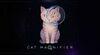 Cat Magnifier para Nintendo Switch