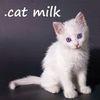 .cat Milk para Nintendo Switch