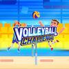 Volleyball Challenge para Nintendo Switch