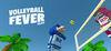 Volleyball Fever Flat para Ordenador