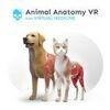 Animal Anatomy VR para PlayStation 5