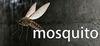 mosquito para Ordenador