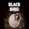BLACK BIRD para PlayStation 4