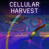 Cellular Harvest para Nintendo Switch
