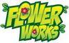Flowerworks: Follie's Adventure WiiW para Wii