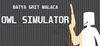 Owl Simulator para Ordenador