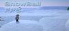 SnowBall FPS para Ordenador