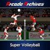 Arcade Archives Super Volleyball para PlayStation 4
