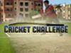 Cricket Challenge WiiW para Wii