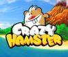 Crazy Hamster DSiW para Nintendo DS