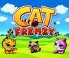 Cat Frenzy DSiW para Nintendo DS