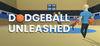 DodgeBall: Unleashed para Ordenador