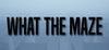 What The Maze para Ordenador