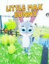 Little Max Bunny para Ordenador