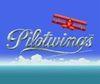 Pilotwings CV para Wii U
