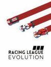 Racing League Evolution para Ordenador